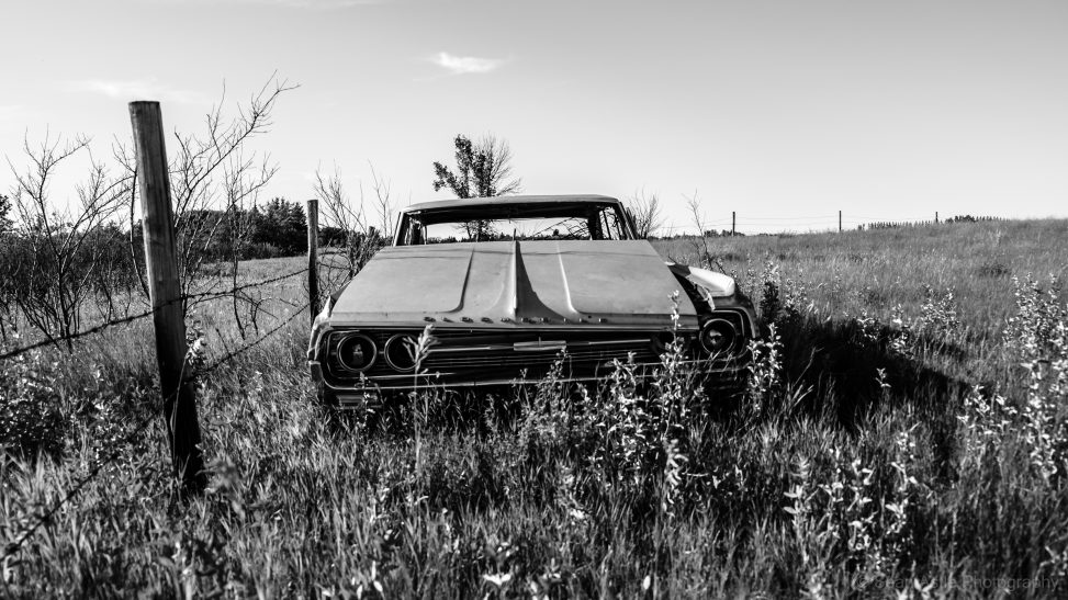 Car in Field