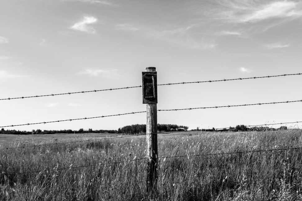 Fence In Field