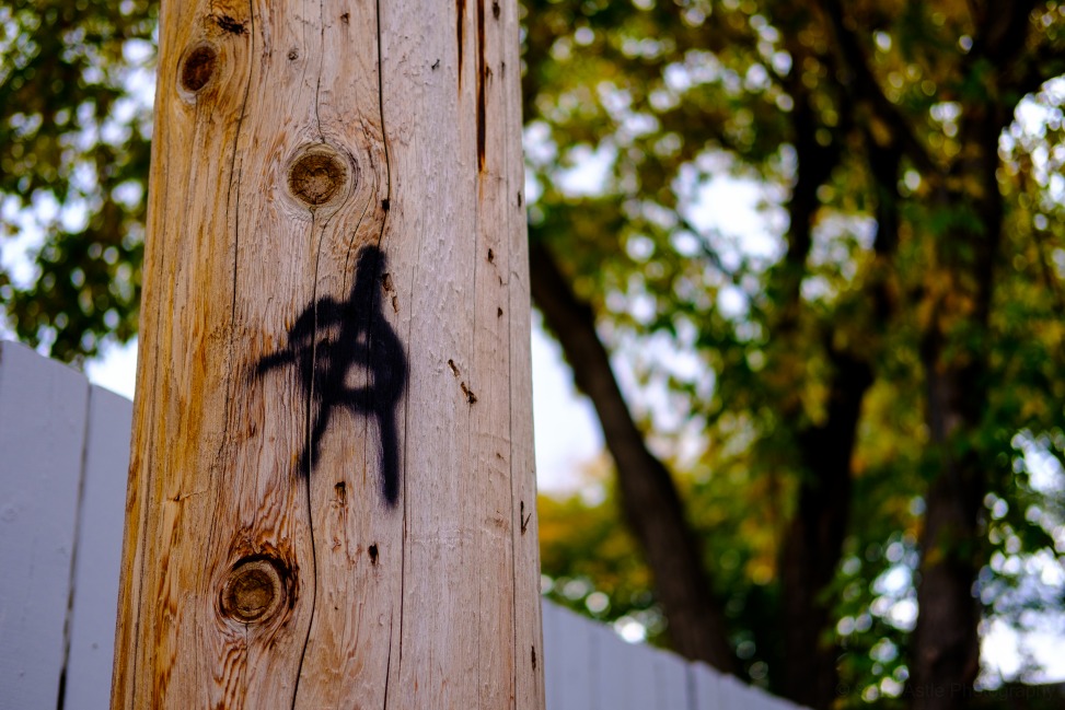 Anarcho-Utilitypoleism